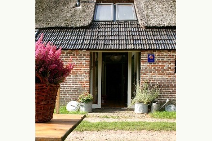 B&B Annen met paard Drenthe VMP029